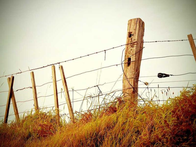 Teknoloji Atölyesi Mezunları Projelerini Sergiledi