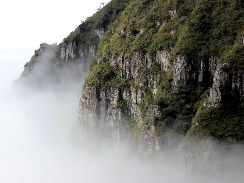 Resim Sanatı Tarihi